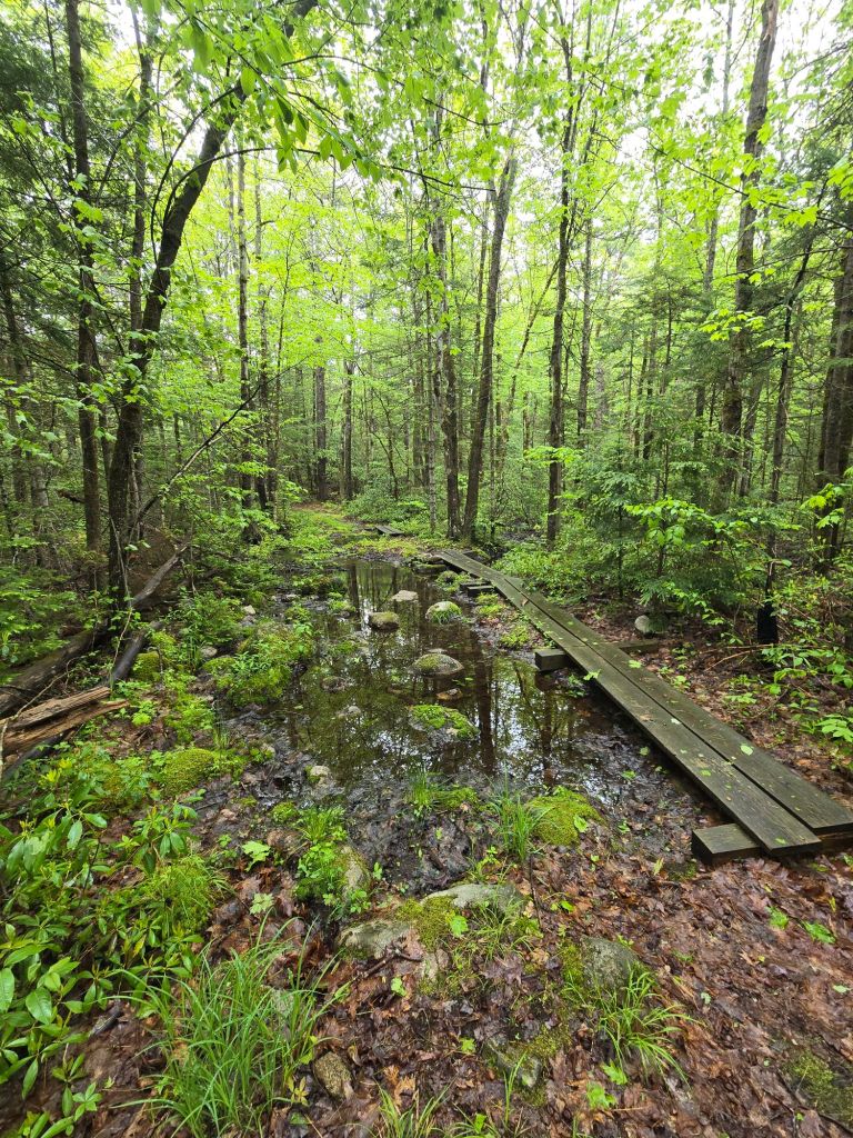 20250524_0919532448368120675017444