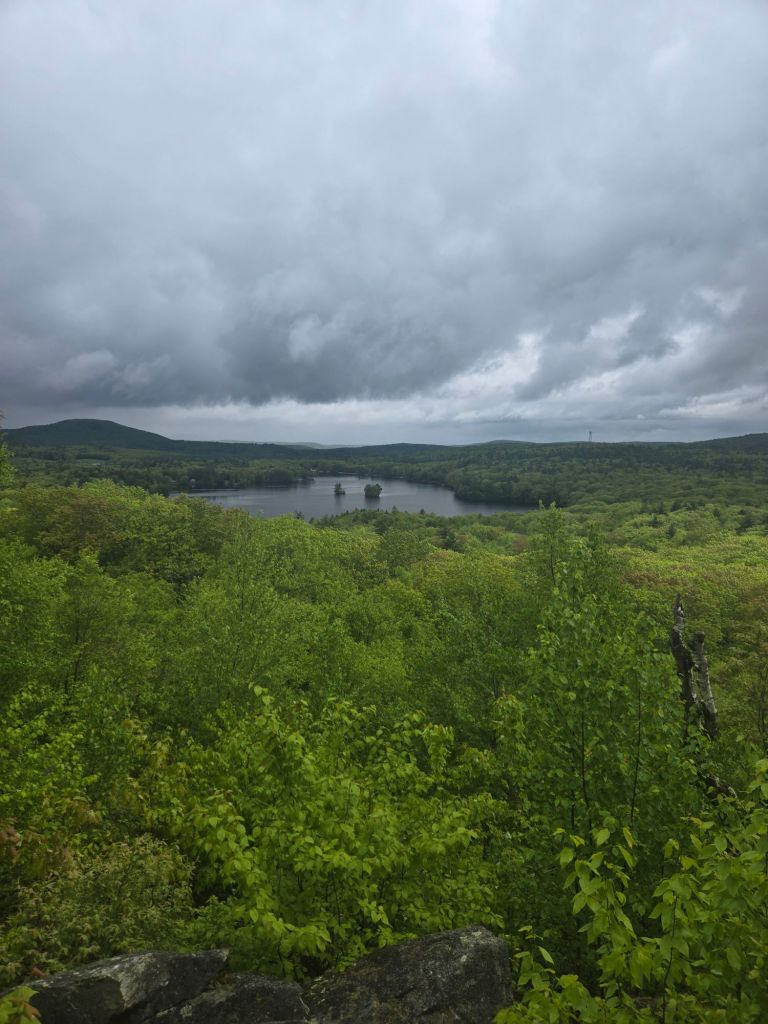 20250524_0951048204669819367366070