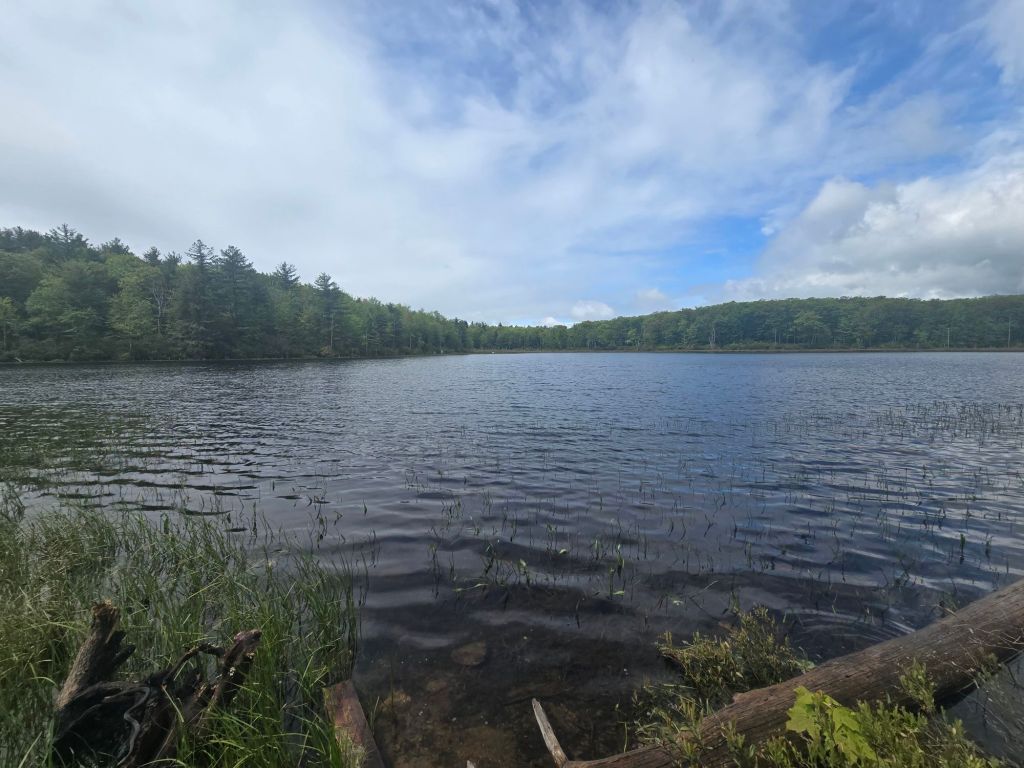 20250524_111709213327533112640488