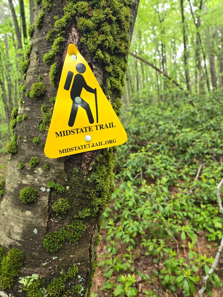 20250524_1328239100704212495141979